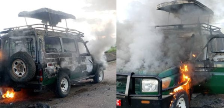 In Queen Elizabeth National Park, Two Tourists And One Guide Died